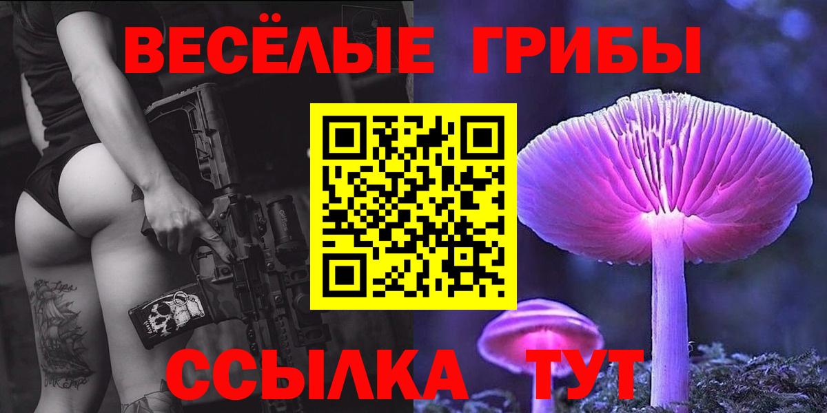 Мытищи  Галлюциногенные грибы мицелий  Вход с VPN  Галлюциногенные грибы Psilocybe 